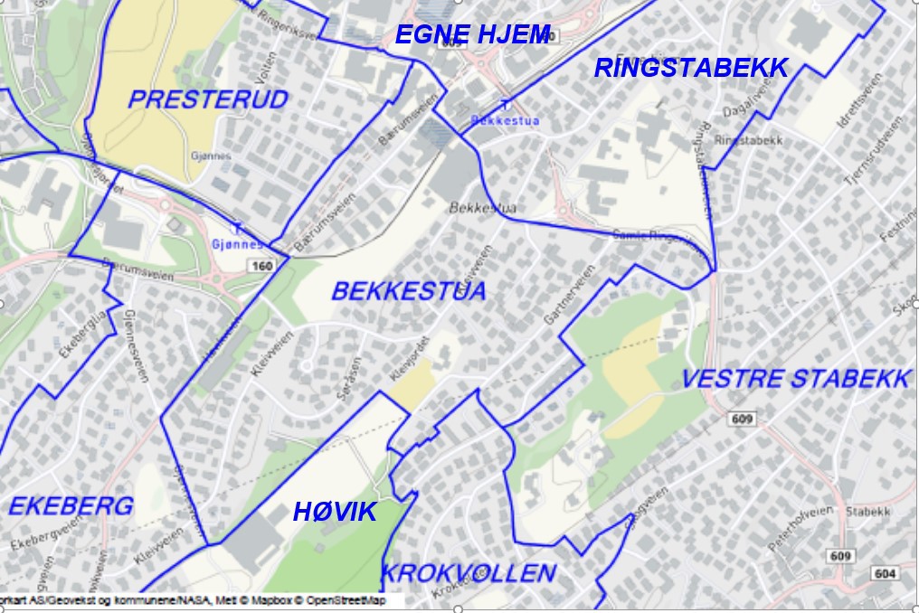 Du er vel medlem av Bekkestua Vel?