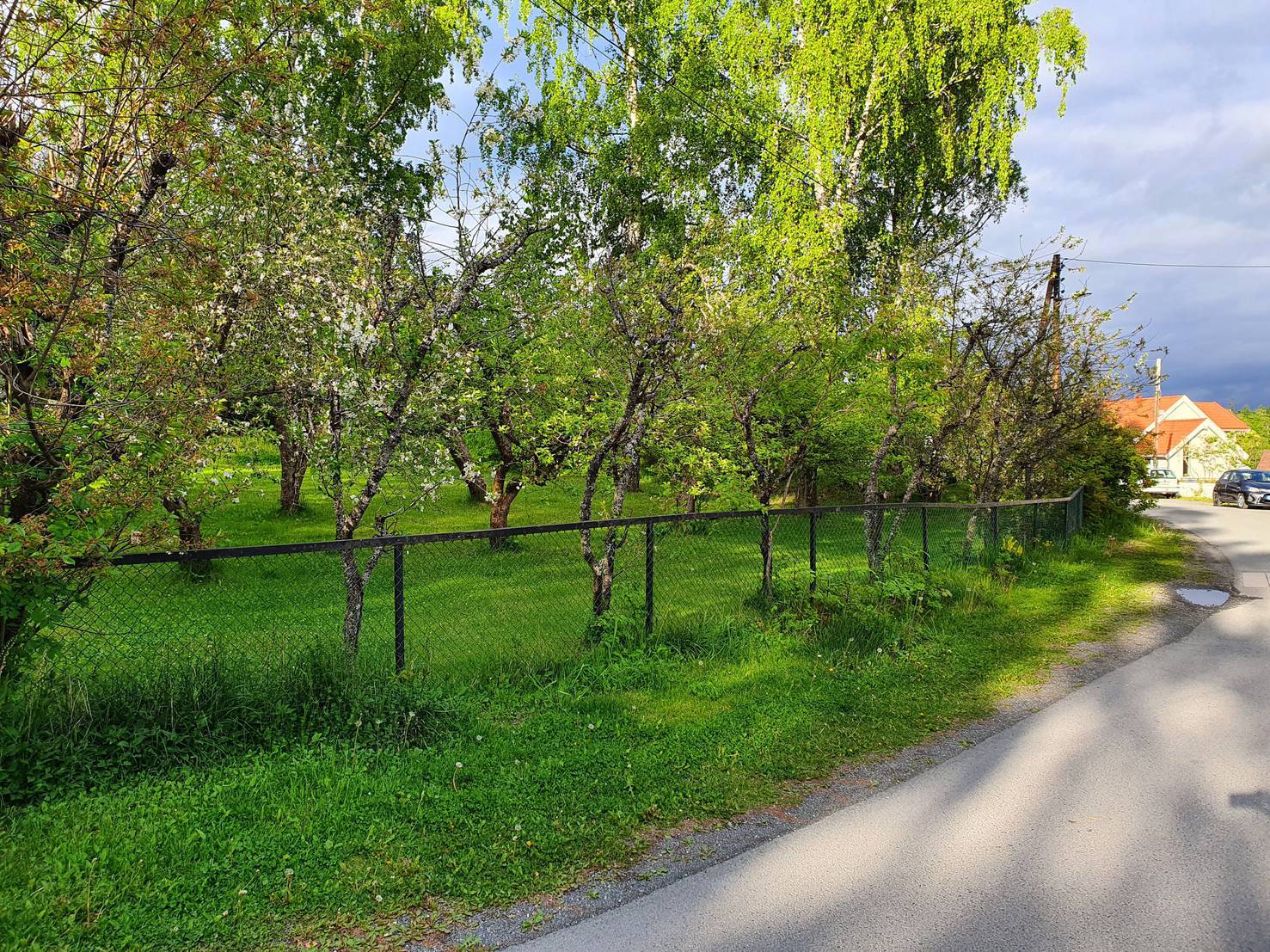 Da skal hageavfallet være samlet inn